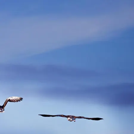 Hotell Frøya Sistranda